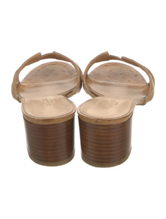 Hermès Oasis H Logo Slides