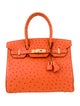 Hermès Ostrich Birkin 30