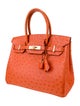 Hermès Ostrich Birkin 30