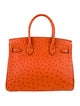 Hermès Ostrich Birkin 30