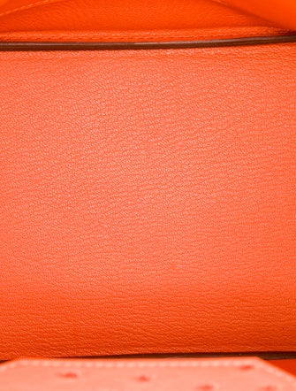 Hermès Ostrich Birkin 30