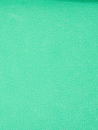 Hermès 2024 Togo Birkin 25