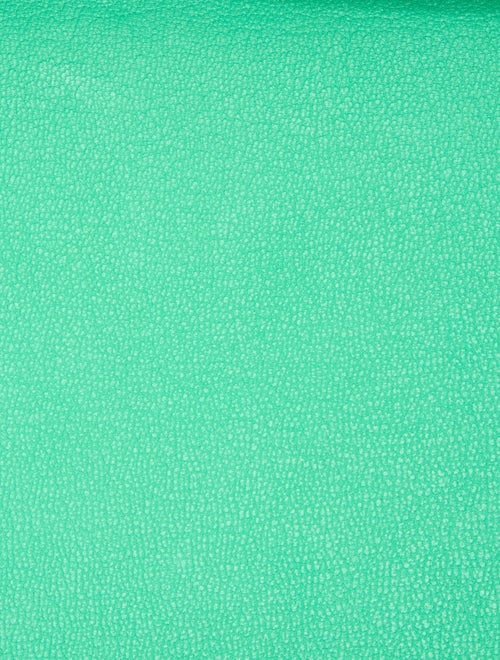 Hermès 2024 Togo Birkin 25