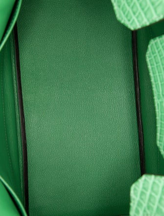 Hermès Butler & Matte Alligator Birkin Touch 30