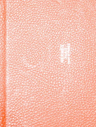 Hermès Clemence Picotin 18