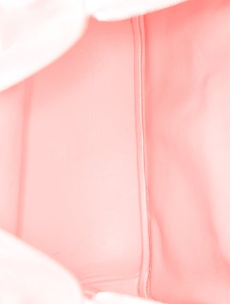 Hermès Evercolor Lindy 34