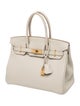 Hermès Togo Birkin 30