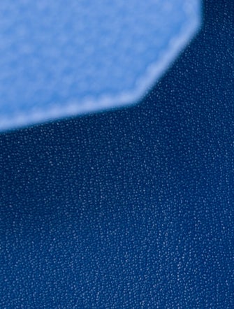 Hermès Togo Birkin 35