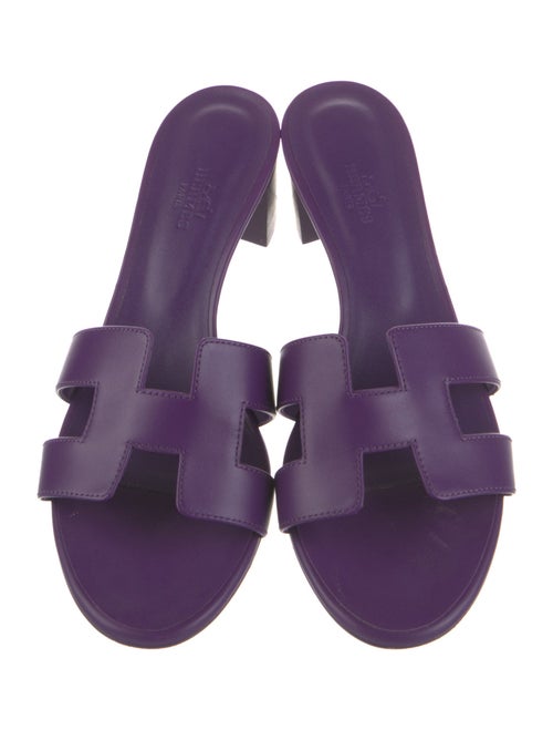 Hermès Oasis H Logo Slides