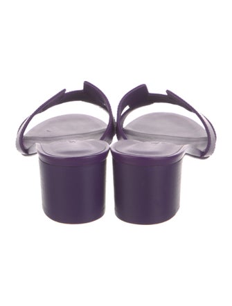 Hermès Oasis H Logo Slides