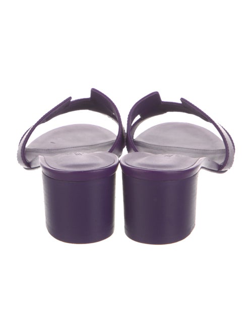 Hermès Oasis H Logo Slides