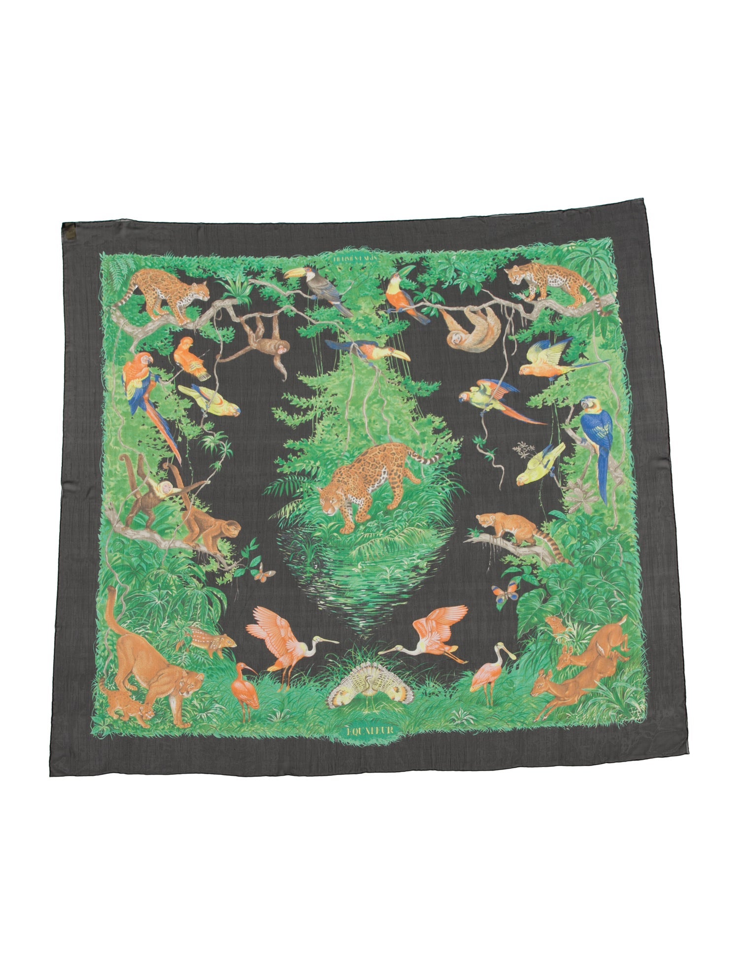 Hermès Equateur Silk Shawl w/ Tags
