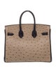 Hermès Special Order Ostrich Birkin 25