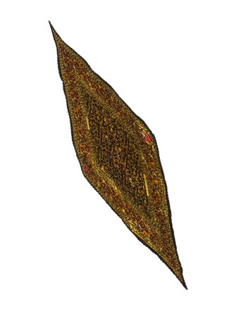 Hermès Chasse En Inde Silk Plissé Scarf