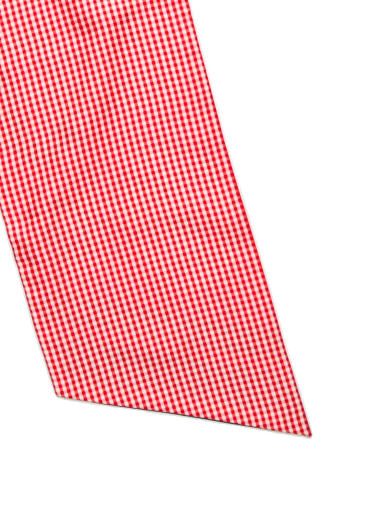 Hermès Bouclerie Moderne Vichy Maxi Silk Twilly Scarf