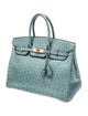 Hermès Ostrich Birkin 35