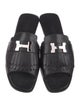 Hermès Auteuil H Logo Slides