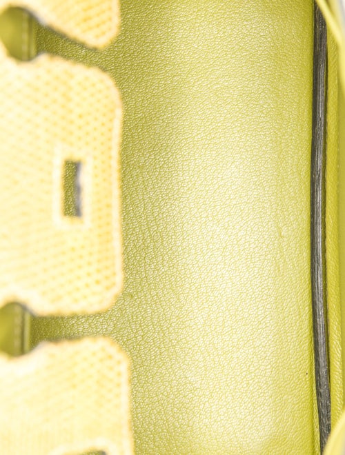 Hermès Varanus Niloticus Lizard Birkin 25