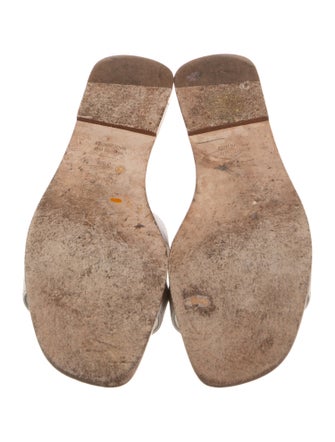 Hermès Oran H Logo Slides