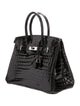 Hermès 2006 Shiny Niloticus Crocodile Birkin 30