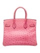 Hermès Ostrich Birkin 30