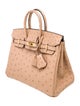 Hermès 2024 Ostrich Birkin 25