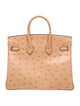 Hermès 2024 Ostrich Birkin 25