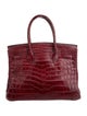 Hermès 2001 Matte Niloticus Crocodile Birkin 30