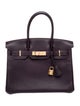Hermès Clemence Birkin 30