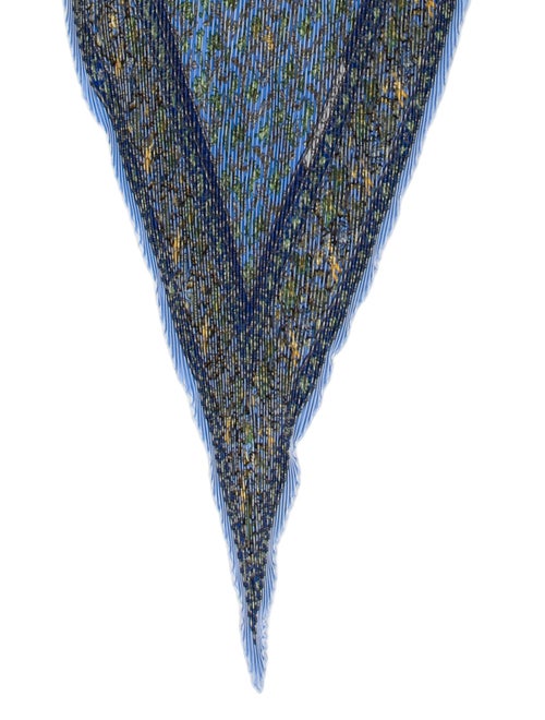 Hermès Chasse En Inde Silk Plissé Scarf