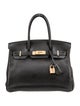 Hermès Clemence Birkin 30