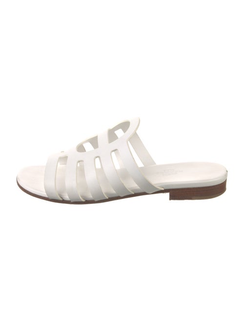 Hermès 2020 Camelia Slides