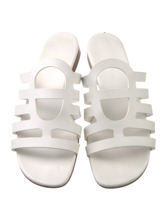 Hermès 2020 Camelia Slides