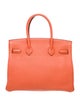 Hermès Togo Birkin 30