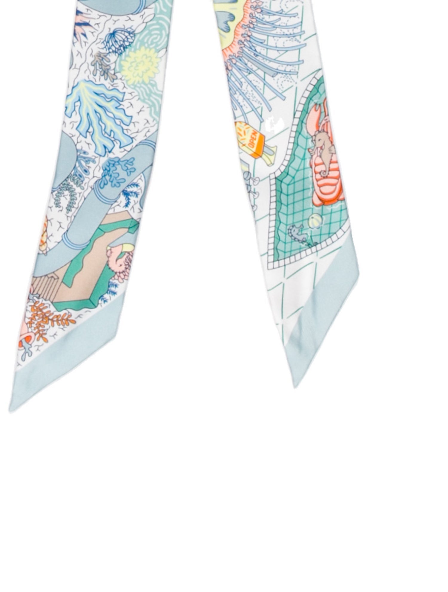 Hermès Silk Twilly Scarf