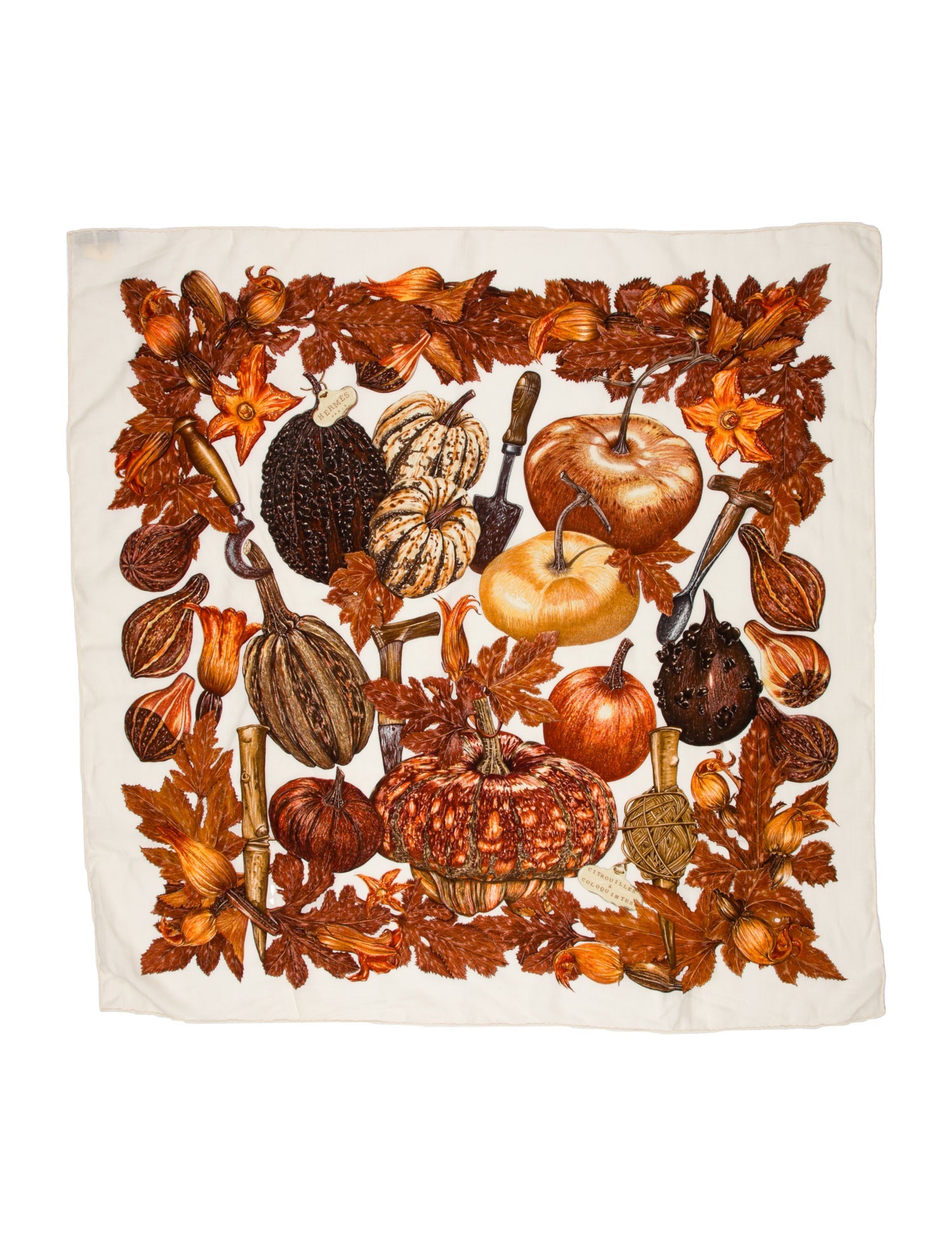 Hermès Citrouilles et Coloquintes Cashmere Scarf w/ Tags