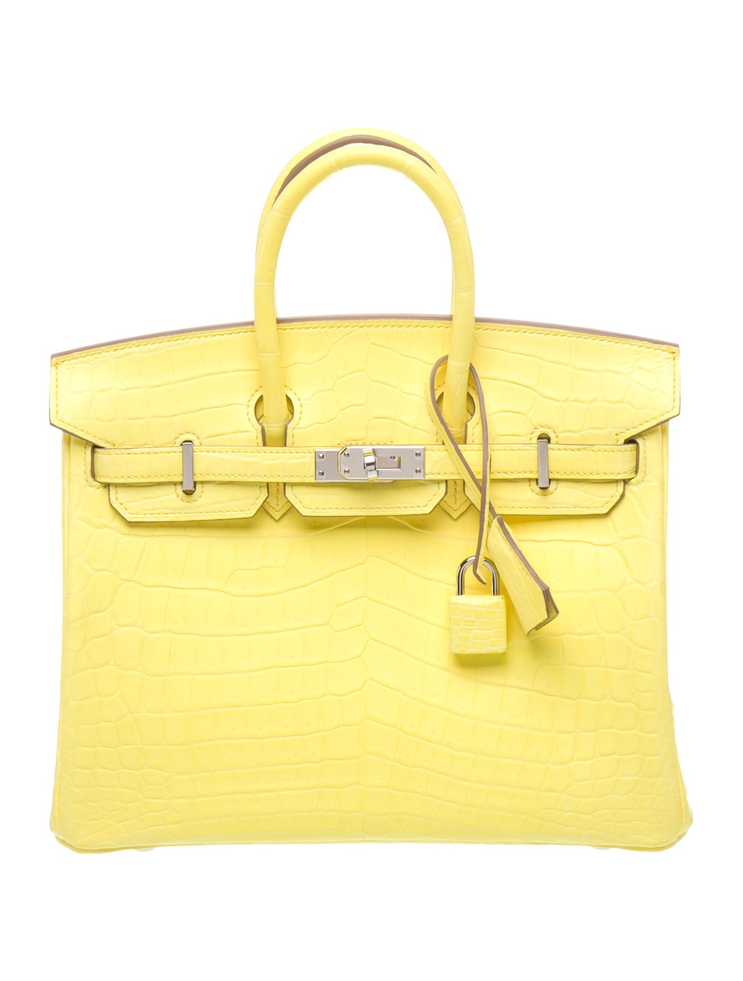 Hermès 2023 Matte Crocodile Niloticus Birkin 25