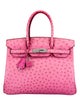 Hermès Ostrich Birkin 30