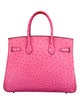 Hermès Ostrich Birkin 30
