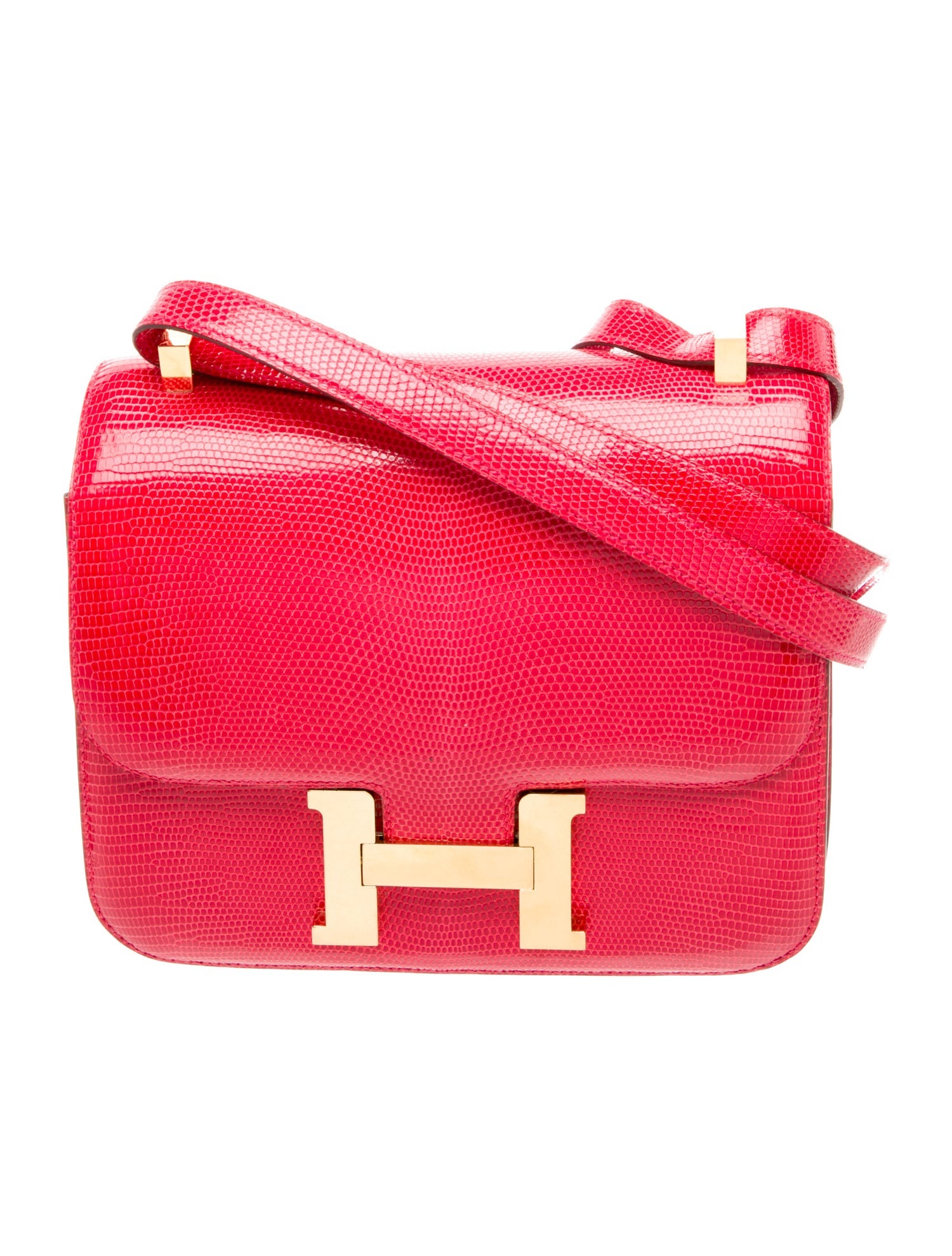 Hermès Varanus Niloticus Lizard Constance 24