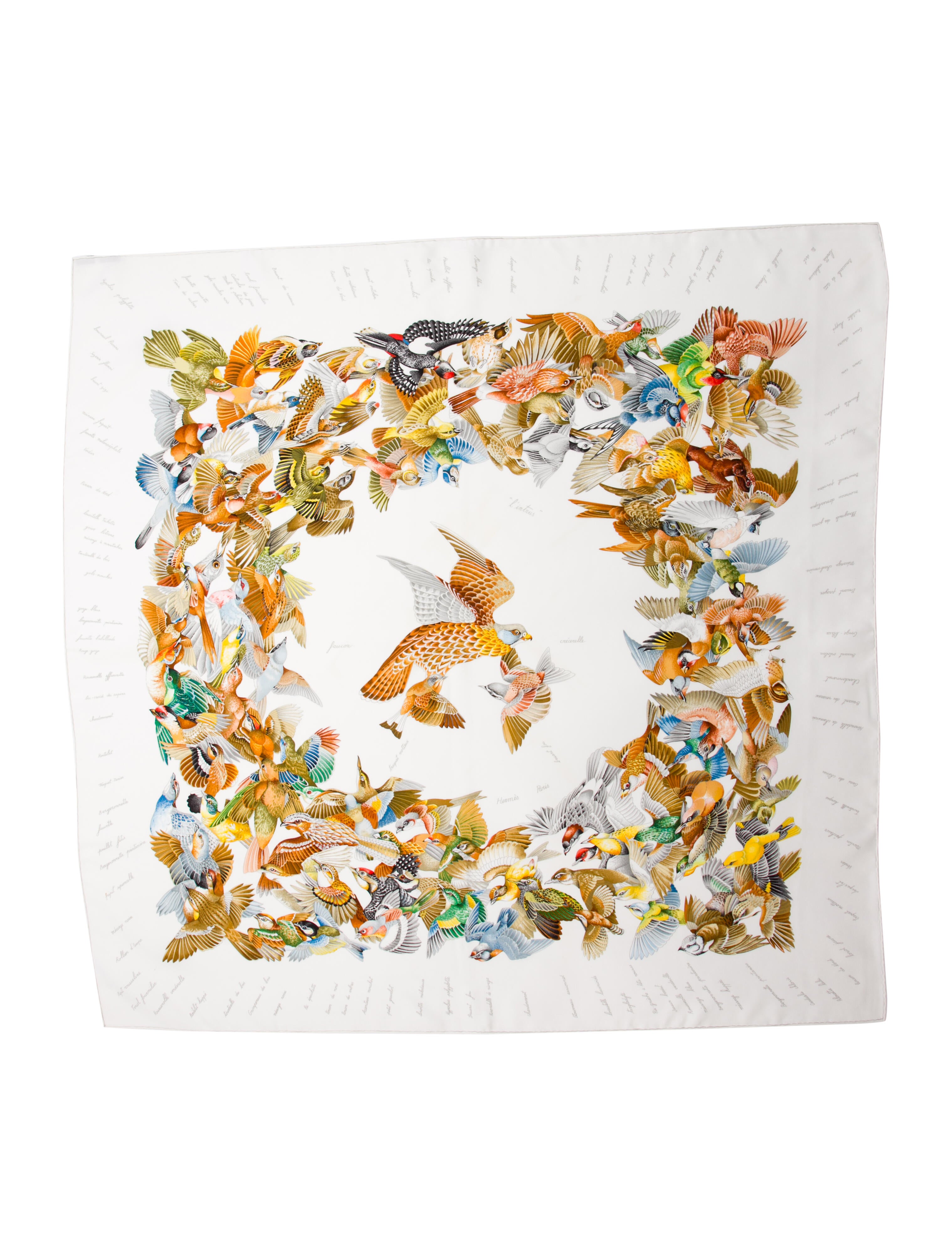 Hermès L'Intrus Silk Scarf