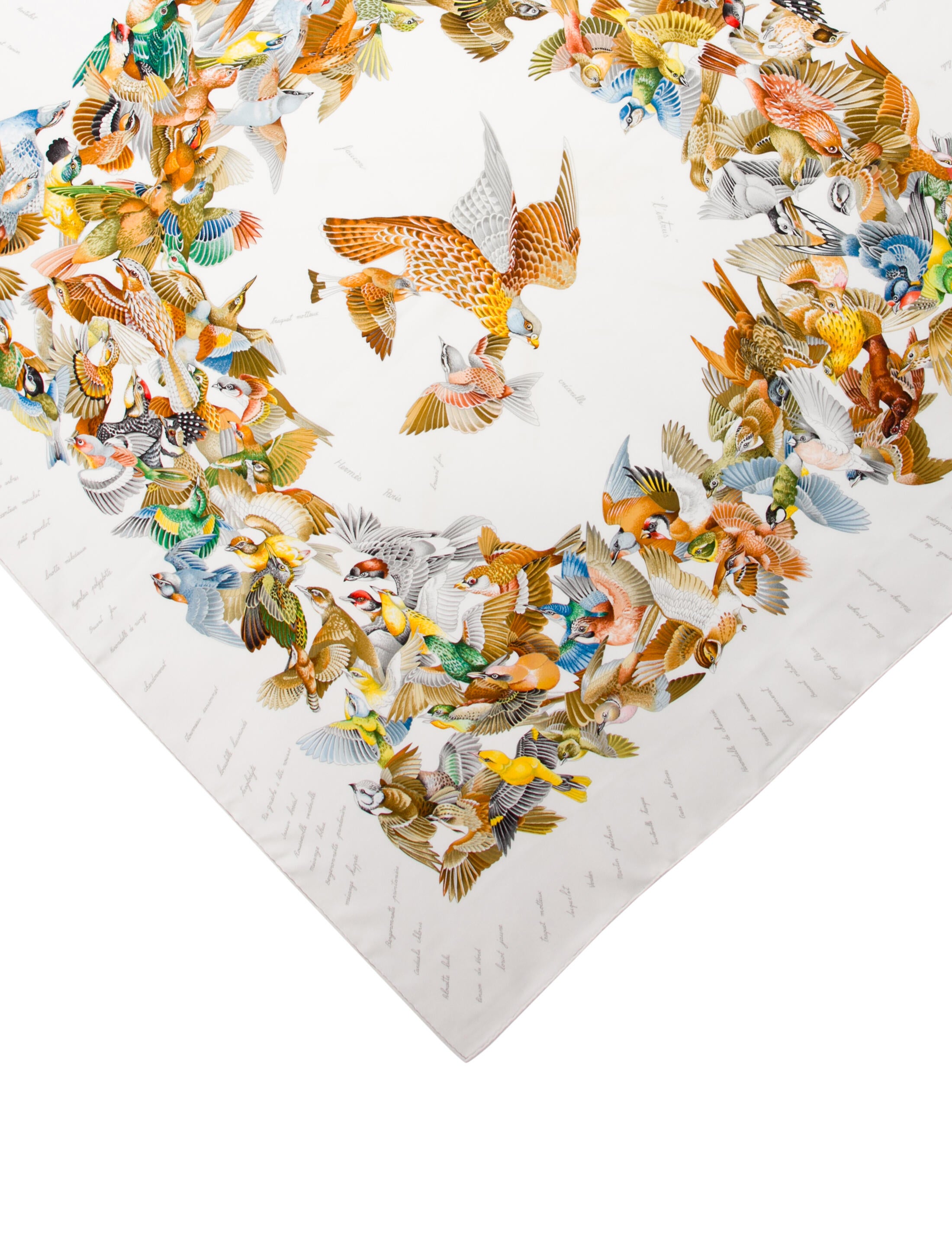 Hermès L'Intrus Silk Scarf