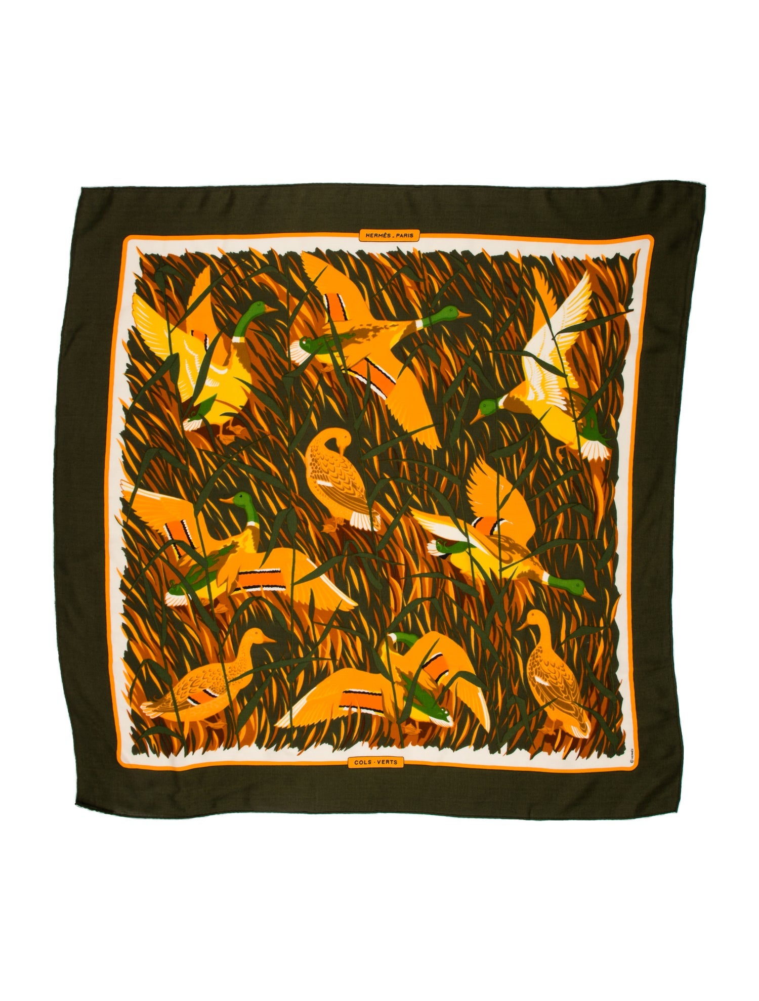 Hermès Cols Vert Cashmere Scarf