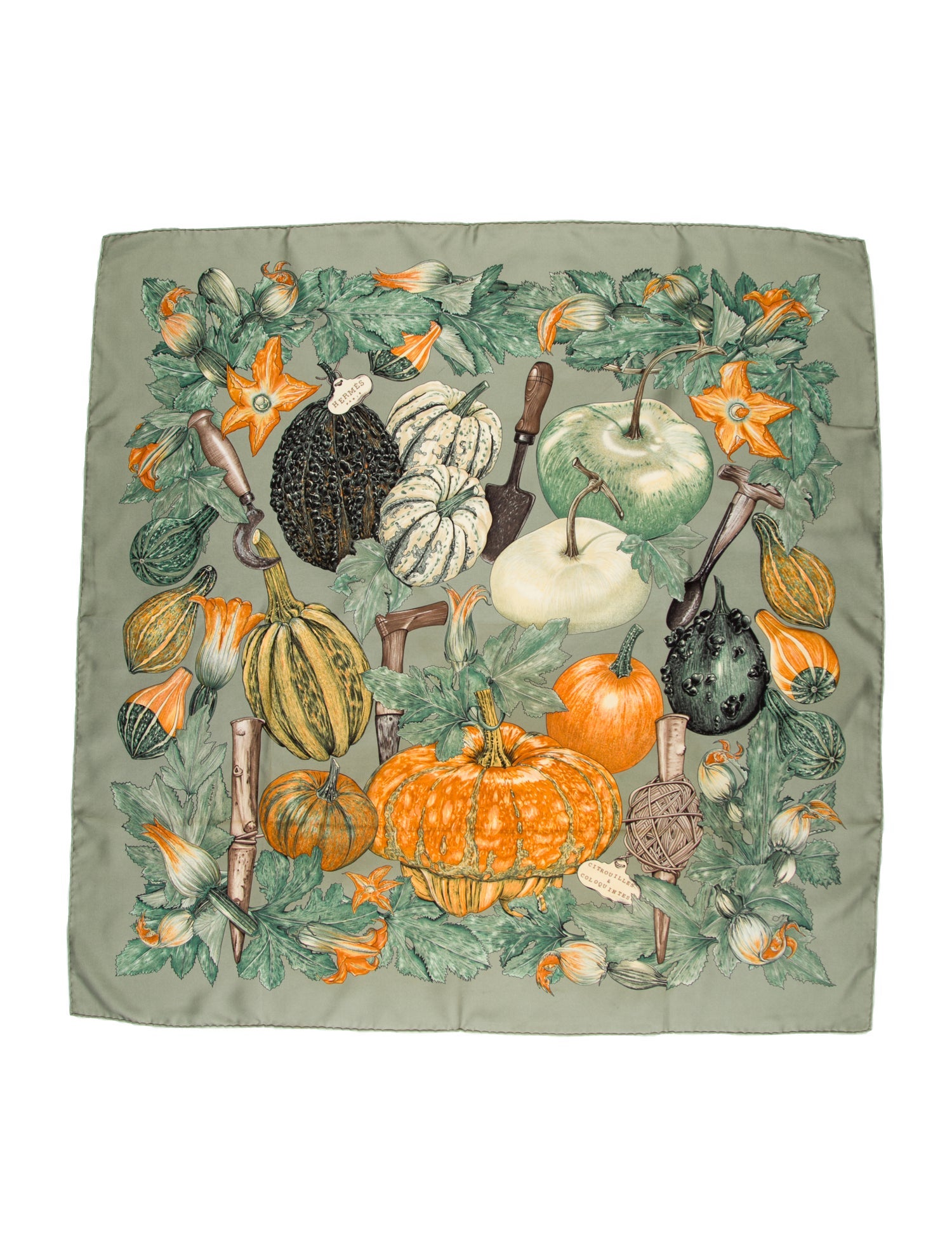Hermès Citrouilles & Coloquintes Silk Scarf