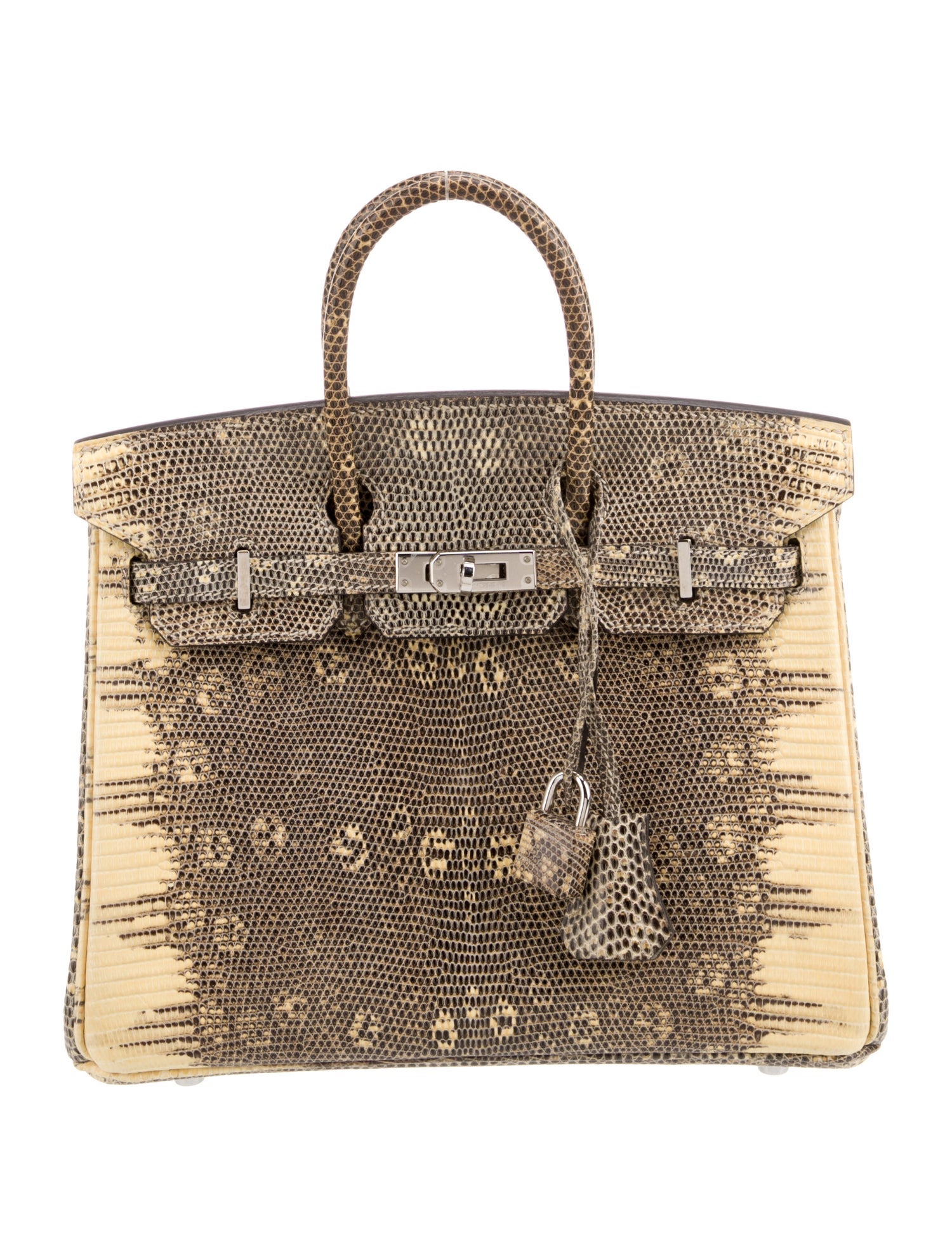 Hermès Ombre Varanus Salvator Lizard Birkin 25