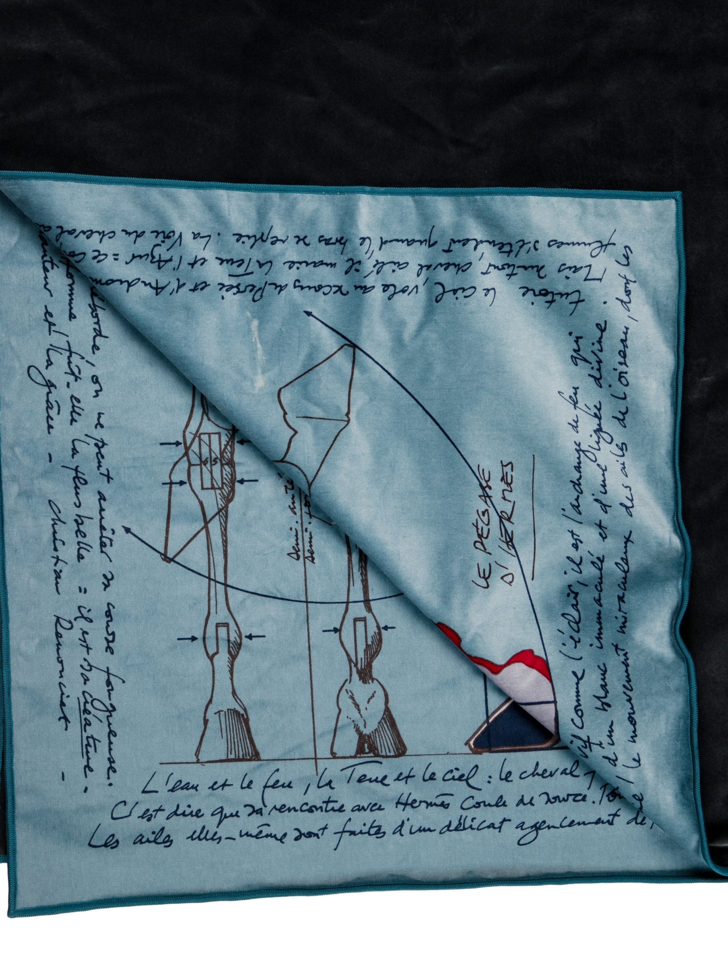 Hermès Le Pégase d'Hermès Throw Blanket