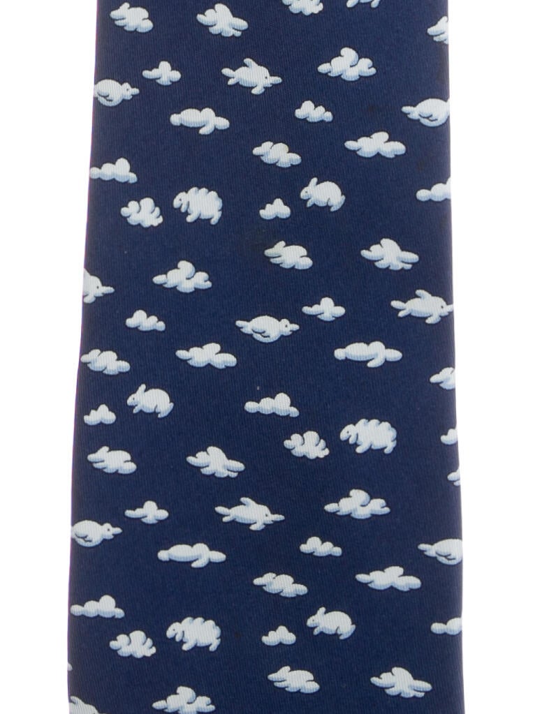 Hermès Silk Printed Tie
