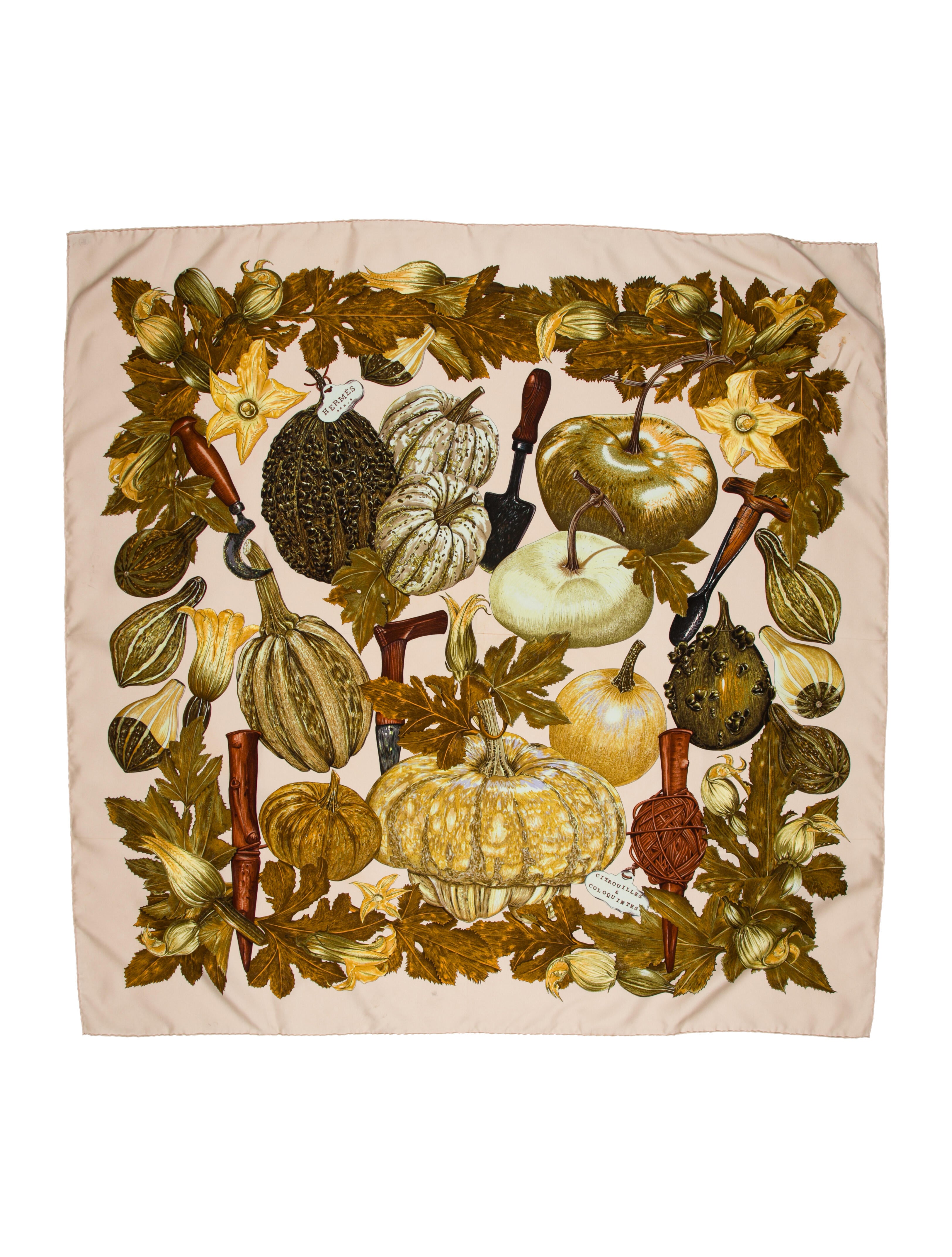 Hermès Citrouilles et Coloquintes Silk Scarf