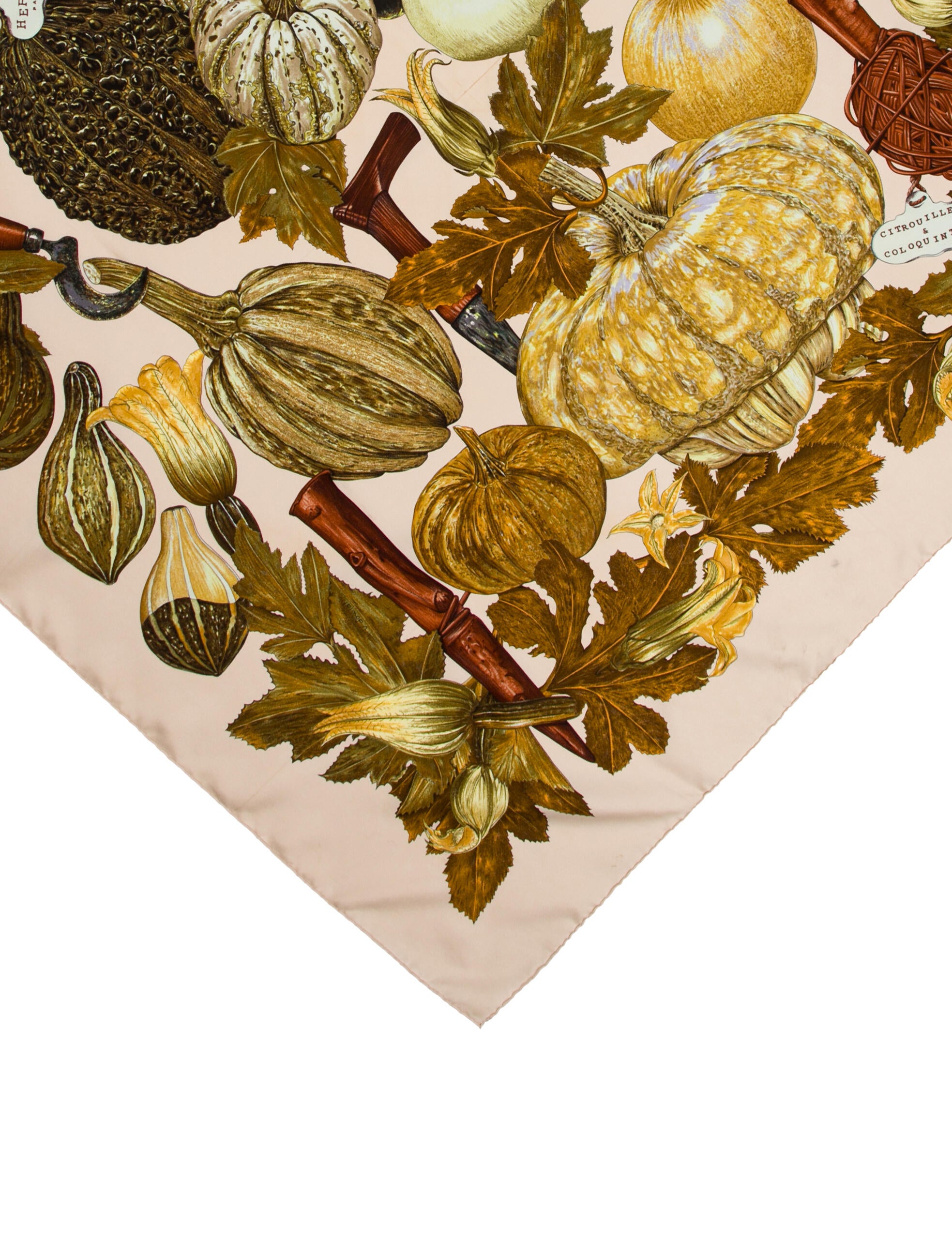 Hermès Citrouilles et Coloquintes Silk Scarf