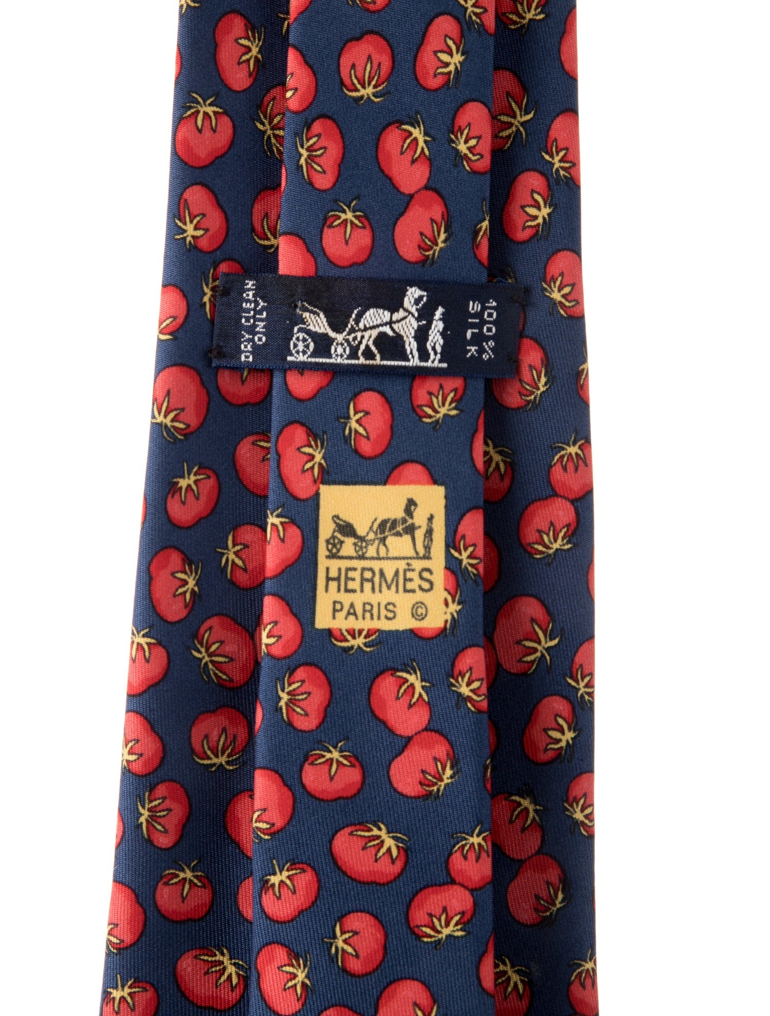 Hermès Silk Printed Tie